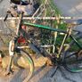 carrerra bike Image 7
