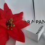 New genuine pandora charm/pendant Image 6