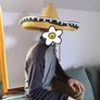 Sombrero Mexican party hat Halloween Image 6