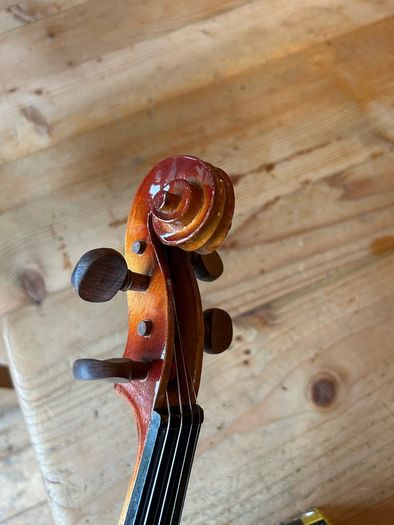 Violin