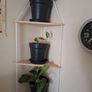 3 tier corner shelf with 3 plants Image 2