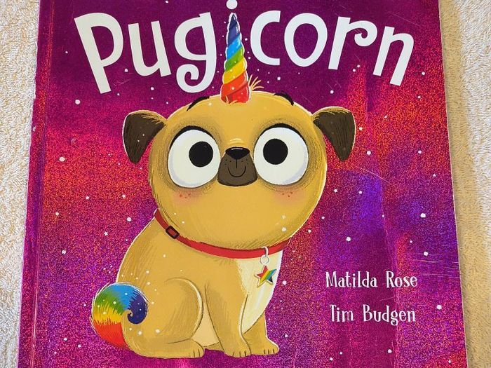 Children's Girls Book Bundle 10 Books