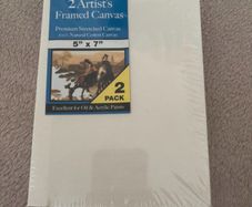 Artist Canvas Set 2 Pack