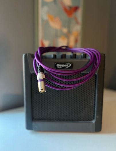 xlr audio