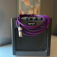 xlr audio