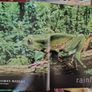 Rainforest Thomas Marent 2006 Rare 1st Edition Image 8