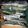 Cushions at a fraction of normal price from 10 euro ea Image 6
