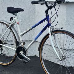 Lovely Ladies Vintage Raleigh Pioneer In Faboulous Condition. No Offers