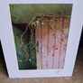 'Pink Door ' Image 2