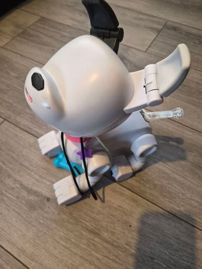 robot dog