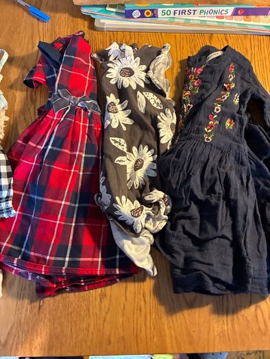 12-18 Months girls clothes (bundle)