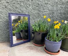 Price drop Hand  carved Victorian mirror