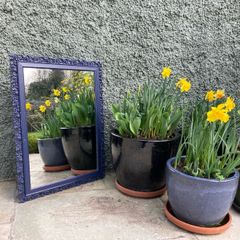 Price drop Hand  carved Victorian mirror