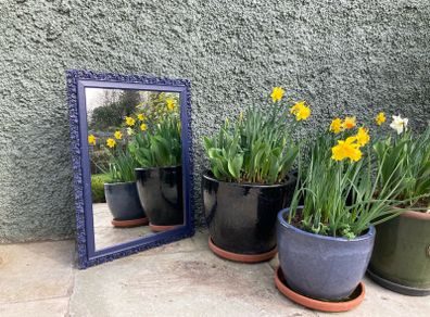 Price drop Hand  carved Victorian mirror