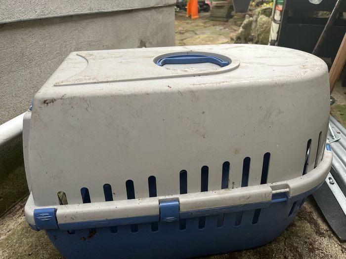Dog Cat box