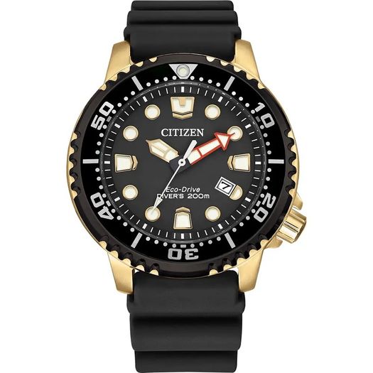 Citizen promaster Diver Stainless Steel Eco-Drive Watch solar powered