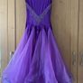 Ballroom Dance Dress Image 2