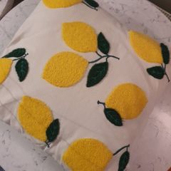 Beautiful Cushion