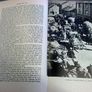 Ireland from the Great Famine to the treaty of 1921 Irish history Image 4