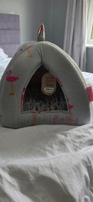 Cat/ puppy bed