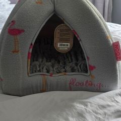 Cat/ puppy bed