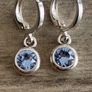 Silver Plated Swarovski Crystal Earrings Image 3