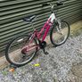 bike Image 6