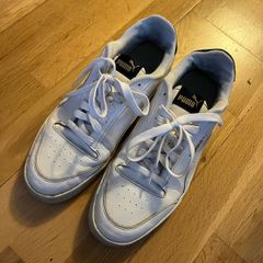 puma