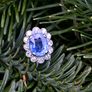 Beautiful Art Deco Sapphire & Diamond Ring - Platinum Image 2