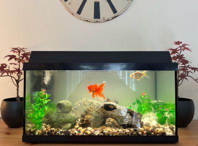 Fish tank 54litres.