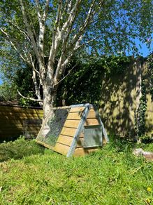 rabbit hutch cage