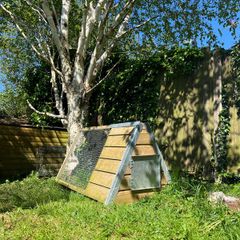 rabbit hutch cage