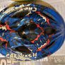 2 Childrens Safety Cycle Helmets, Car Wash & Batman, in very good condition Image 7