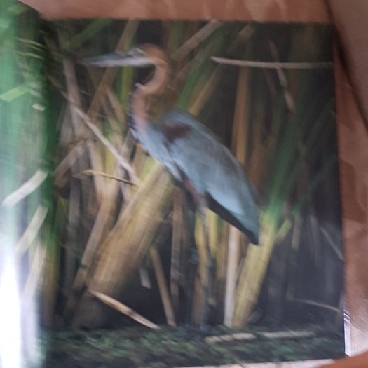 The World's Wild Places Time-life Books. 1x The Amazon.  2x Africa's Rift Valley. HARDBACK.