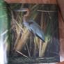 The World's Wild Places Time-life Books. 1x The Amazon.  2x Africa's Rift Valley. HARDBACK. Image 6
