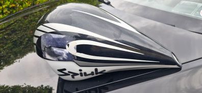 bike helmet