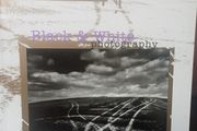 Black &amp; White Photography Guide