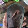 Honda Valkyrie 1500 smoked taillight lens Image 2