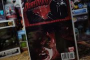 Daredevil: Blood of the Tarantula ! One-Shot ! 2008 ! by Marvel !