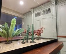 Fish Tank Set
