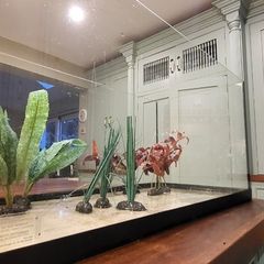 Fish Tank Set
