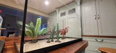 Fish Tank Set