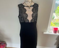 Mint Velvet Dress