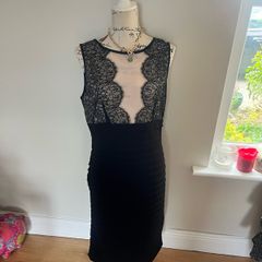 Mint Velvet Dress