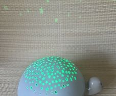 Night projector