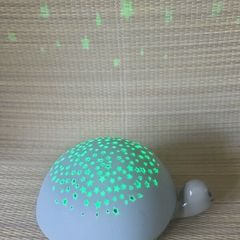 Night projector