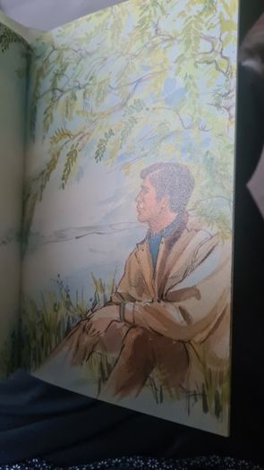 BEAUTIFUL ILLUSTRATED. THE FIRESIDE BOOK. 1995.POEMS OLD AND NEW EACH BEAUTIFULLY illustrated by a full page painting special commission to capture the flavour of the words. Hardback With Dustjacket In Very Good Condition.