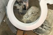 Zanussi Lindo 100 Washing Machine Door (Nationwide Delivery)