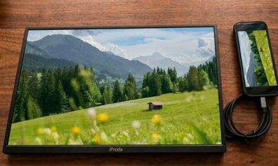 18.5 Portable Monitor(one left) - ultra thin- price firm - brand new
