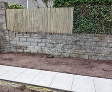 Bamboo screening for Fence.  Price Reduction To 55e